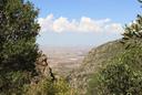 Fieldcraft in MONASTIR: Approach to Game and Tactical Behavior, Hunter Circles and Regional Clubs, Legislation of Tunisia

Territorial Character and Ecology in Tunisia

M