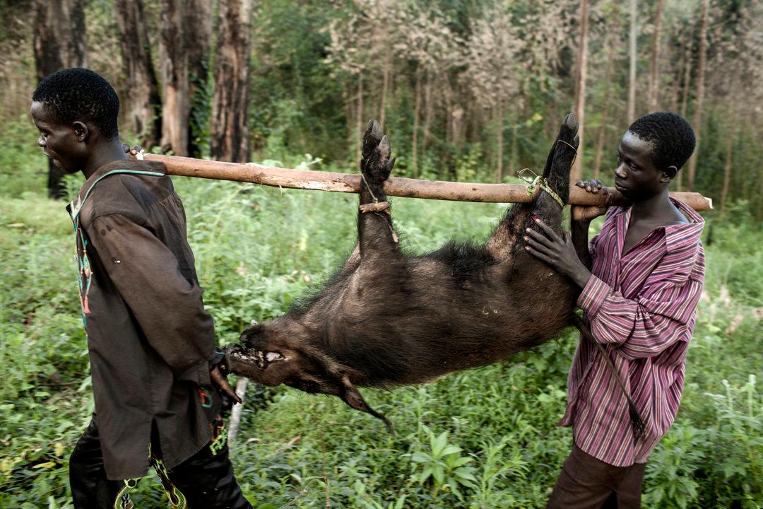 Hunting in Central Equatoria: Natural Terrain, Hunting Demographics, and Wildlife Variety