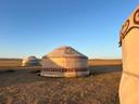 A peaceful morning from my yurt in Inner Mongolia this week.
