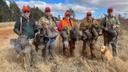 Hunting in Northumberland, England: hunters and demographics of the region, types of hunting and hunting animals, hunting legislation

Geographical and natural features o