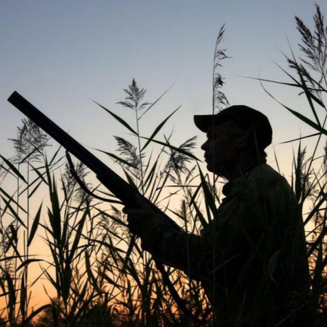 ghana_hunter avatar