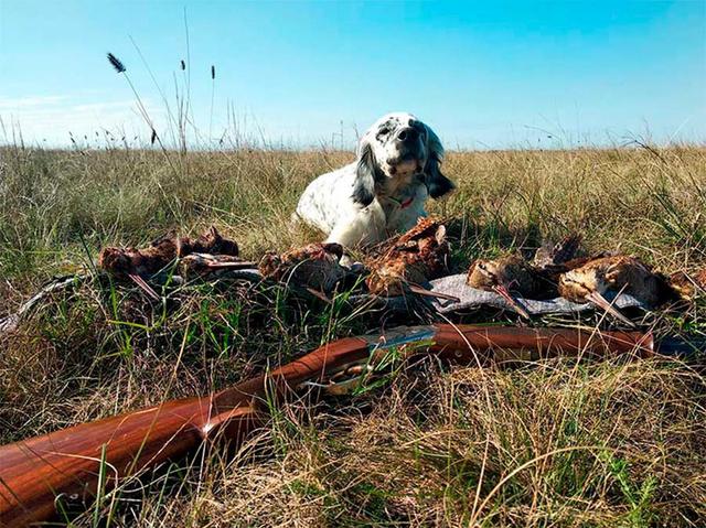 Photo from news post