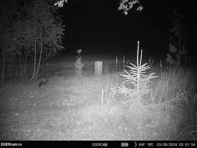 Photo from news post