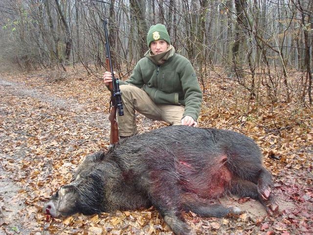 Die Jagd im Bezirk Krems: Jagdsaison, Naturräume, Jägerschaft, jagdbare Arten, Jagdmethoden, Rahmenbedingungen, Gemeinschaften, Details 