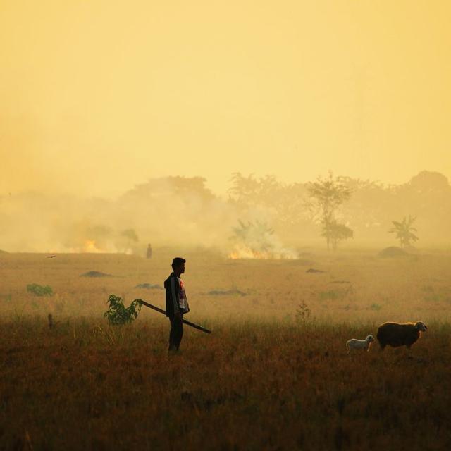 cameroon_hunter avatar