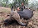 Hunting in Harare, Zimbabwe: Explore the Types of Hunting and Animals Hunted in the Area 

Harare, the capital city of Zimbabwe, is not only the political and economic hu