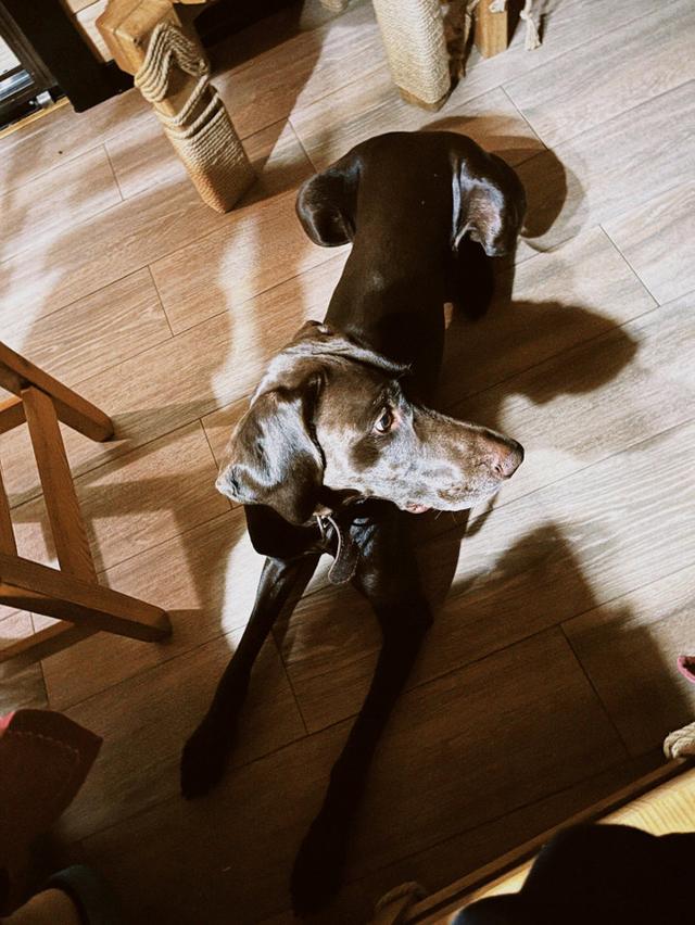 Photo from news post