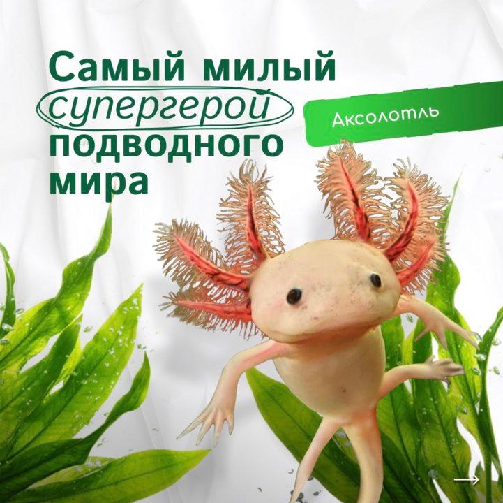 Photo from news post