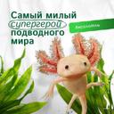 y Если бы в мире существовал конкурс на самое очаровательное существо с суперспособностями, аксолотль определенно взял бы главный приз.
+ Этот удивительный водяной дракончик, родом из Мексики, обладает поистине фантастическими способностями. Представьте себе существо, которое может отрастить новое сердце, восстановить мозг или позвоночник! Настоящий супергерой из подводного мира!
Интересно, что популярность аксолотля вышла
далеко за пределы научного сообщества.
Благодаря своей необычной внешности и милой
"улыбке", он стал настоящей звездой интернета, а после появления в Minecraft покорил сердца геймеров по всему миру.
Но самое удивительное в этом существе - способность размножаться, оставаясь в форме личинки. Представляете, это как если бы подросток мог иметь детей, никогда не становясь взрослым!
Аксолотль доказывает, что природа может создавать существ, которые превосходят самые смелые фантазии писателей-фантастов.
#удивительнаяприрода #аксолотль #биоразнообразие #экология #уникальныеживотные #культзеленых
#защитаприроды #редкиевиды #водныйдракон
#природаимыслим #экопросвещение #биология #чудесаприроды