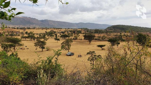 Ethiopia: May trophies