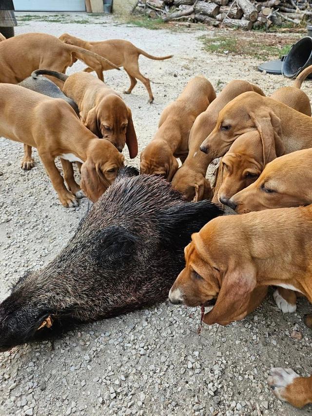 Photo from news post