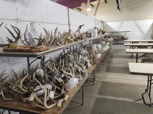 Photo from news post