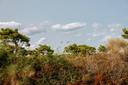 Hunting in SOFALA, Mozambique: Ecosystems, Methods, Regulations, and Cultural Traditions for Enthusiasts
 
The Natural and Geographical Landscape: Hunting Environments an