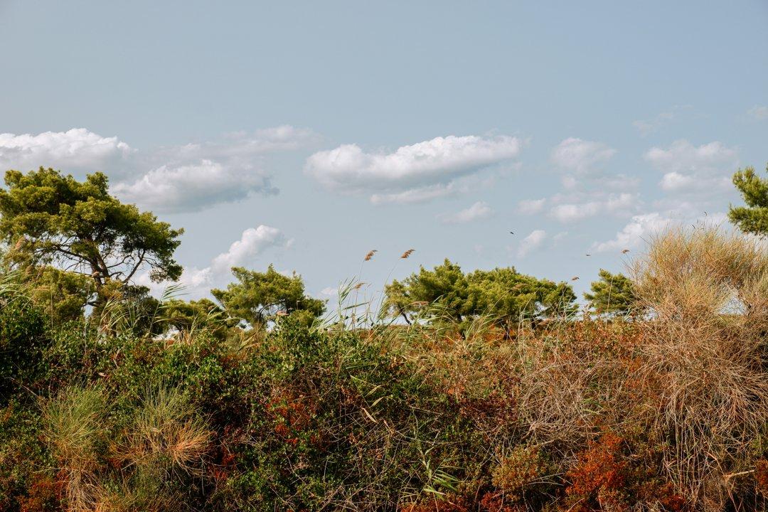 Hunting in SOFALA, Mozambique: Ecosystems, Methods, Regulations, and Cultural Traditions for Enthusiasts