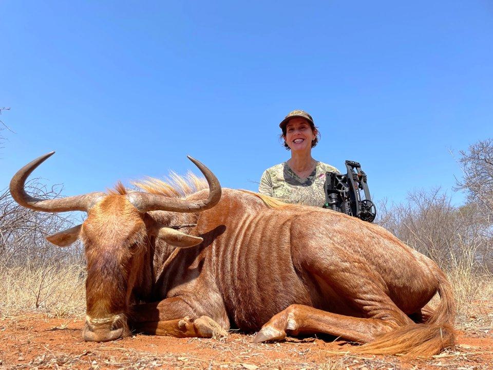 Hunting in Haut-Uélé: Forest-Savanna Ecology, Traditional Hunting Practices, and Game Species Diversity