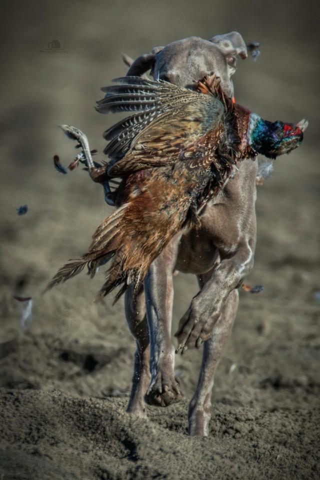 Photo from news post