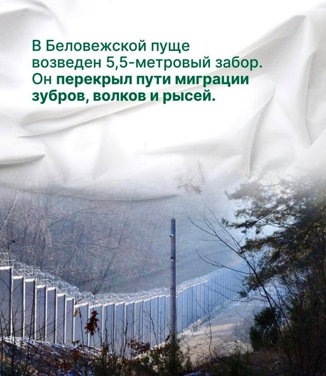 Photo from news post