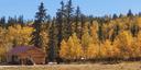 100% off-grid living up at 10k ft in the Colorado Rocky Mountains.
Built myself, left the flatland behind. 
Stay thirsty, my friends.