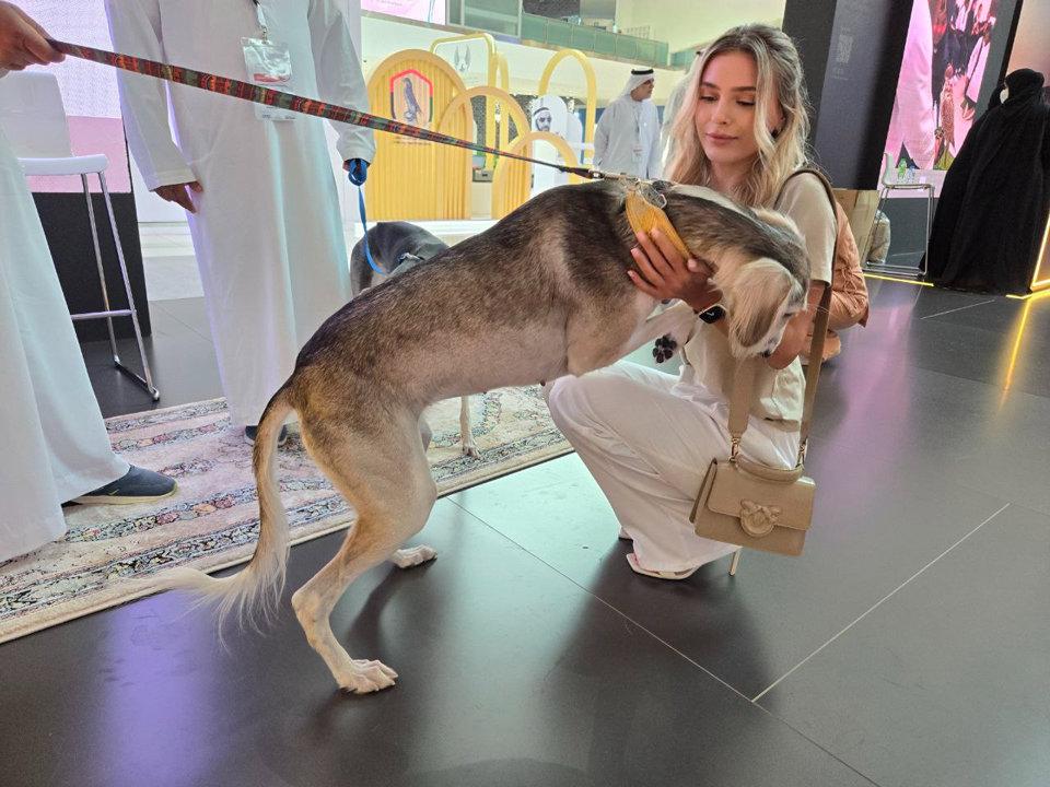 Photo from news post