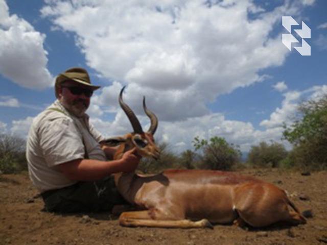 For true collectors 🌍 of African rarities: gerenuk, lesser kudu, Grant's gazelle, Thompson's gazelle, Patterson's eland and others ⤵️