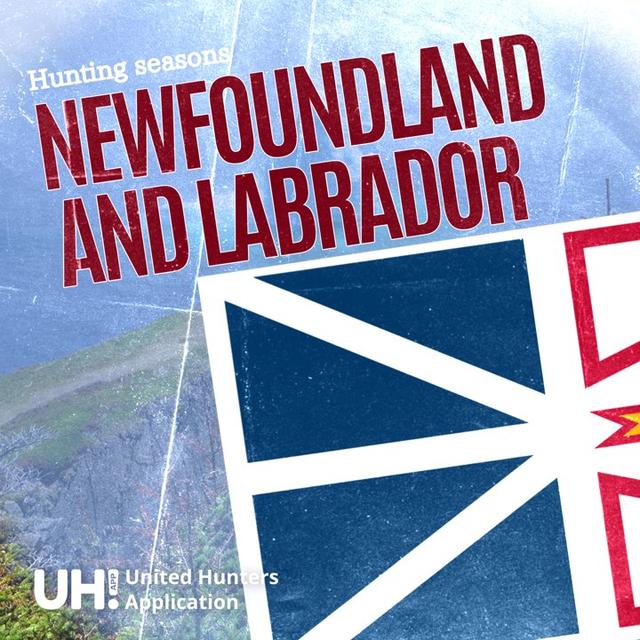 <strong>HUNTING</strong> SEASONS IN NEWFOUNDLAND AND LABRADOR, CANADA 2025–26: Big Game and Small Game, Licenses, and Regulations Guide