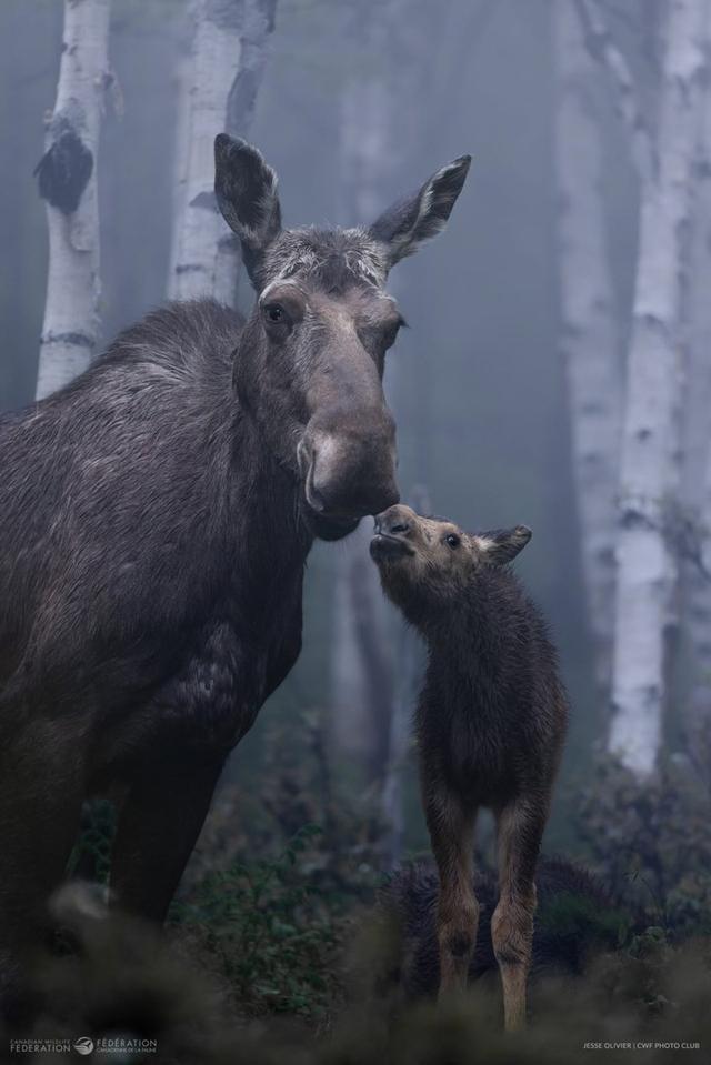 Photo from news post