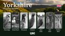 Hunting Seasons and Regulations in Yorkshire: Seasonal Patterns and Game Activity, How to Obtain a Hunting License in the Region 

Yorkshire offers a diverse landscape ra