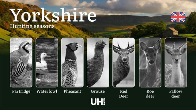 <strong>Hunting</strong> Seasons and Regulations in Yorkshire: Seasonal Patterns and Game Activity, How to Obtain a <strong>Hunting</strong> License in the Region 