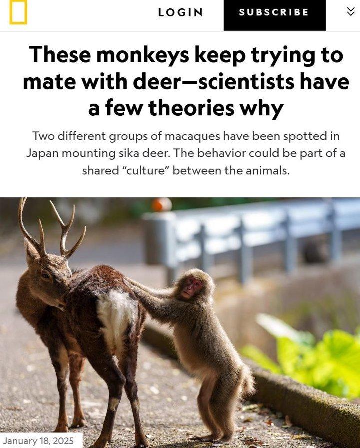 Photo from news post