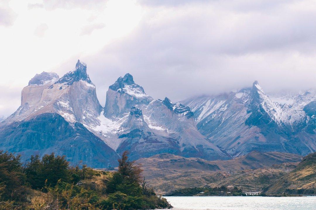 Guía Completa de Caza en Magallanes: Especies, Temporadas, Zonas Permitidas y Clubes de Cazadores