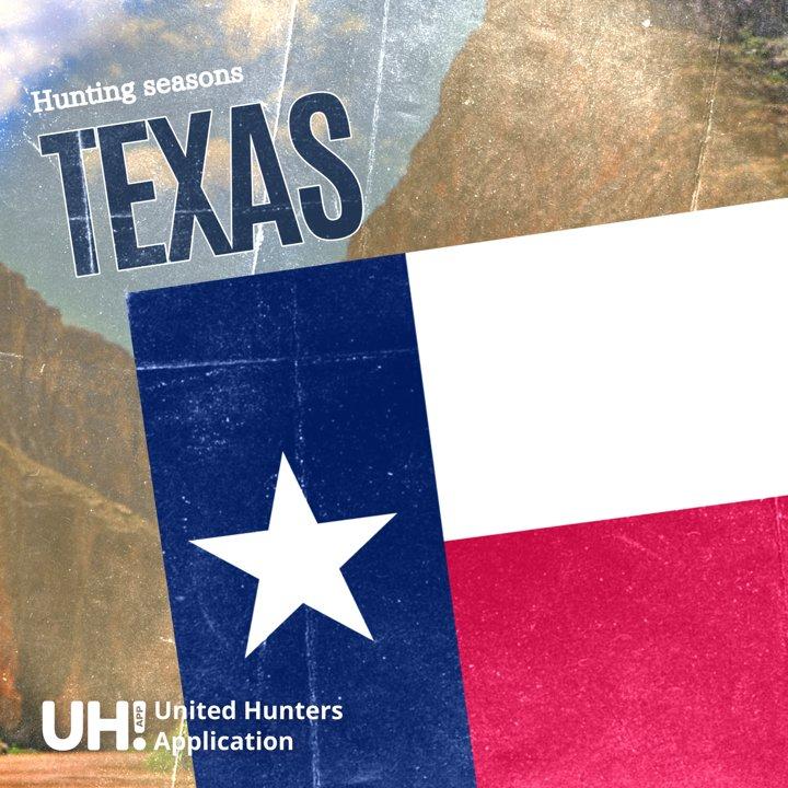 HUNTING SEASONS IN TEXAS 2025–26: Deer Hunting, Big Game and Small Game, Licenses, and Regulations Guide