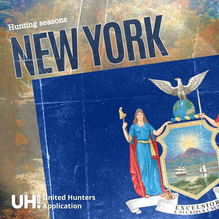 HUNTING SEASONS IN NEW YORK 2025–26: Deer Hunting, Big Game and Small Game, Licenses, and Regulations Guide
