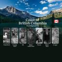 BC NORTHERN COAST Hunting Seasons: Opening and Closing Dates, Required Licenses and Key Rules 

The Northern Coast of British Columbia offers a unique hunting experience 