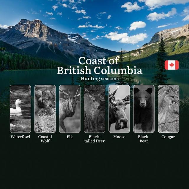 BC NORTHERN COAST Hunting Seasons: Opening and Closing Dates, Required Licenses and Key Rules