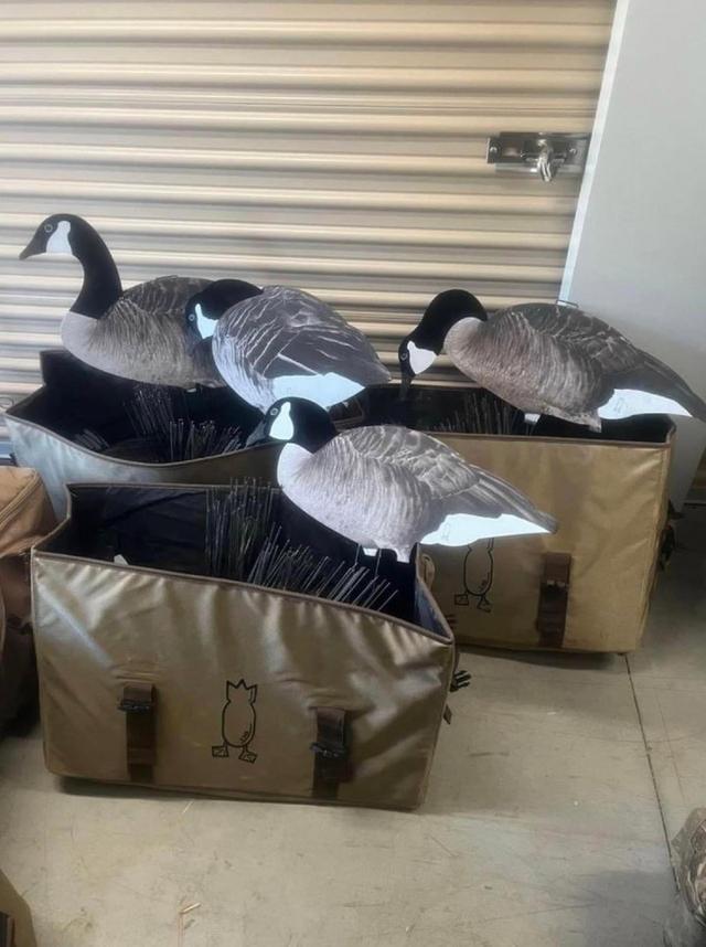 Photo from news post