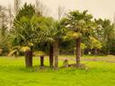 Saint-Louis Hunting Guide: Laws, Demographics Legislation. Birds, Wildlife, and Djoudj National Bird Sanctuary

The Saint-Louis Department in Senegal is a premier destina