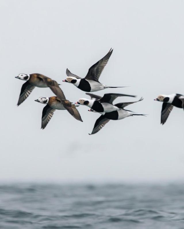 Photo from news post