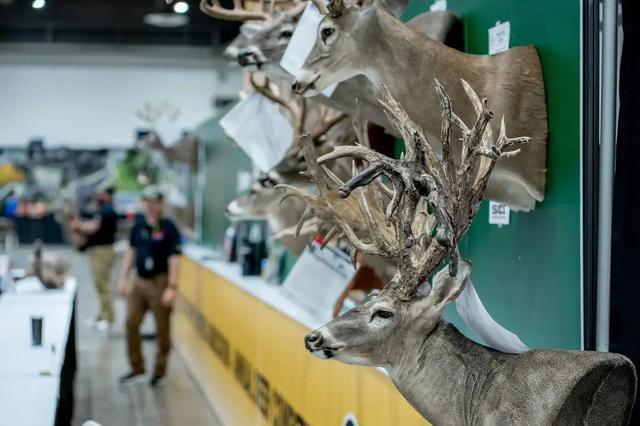 Hunters Extravaganza Houston 2025 – from August 1–3, 2025, at NRG Center Hall A, Texas Trophy Hunters Association (TTHA)