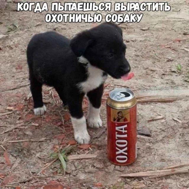 Photo from news post