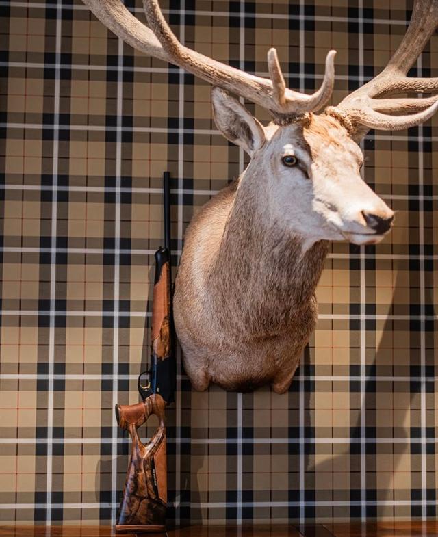 Blaser R8 Success Vintage Review: Design, Calibers,  Configurations, Price, Pros and Cons.