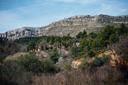 Caza en la Comunidad Valenciana: Desde el Interior Montañoso hasta la Costa, Caza Regulada y Fincas para Todas las Modalidades

La región de Valencia, situada en la costa