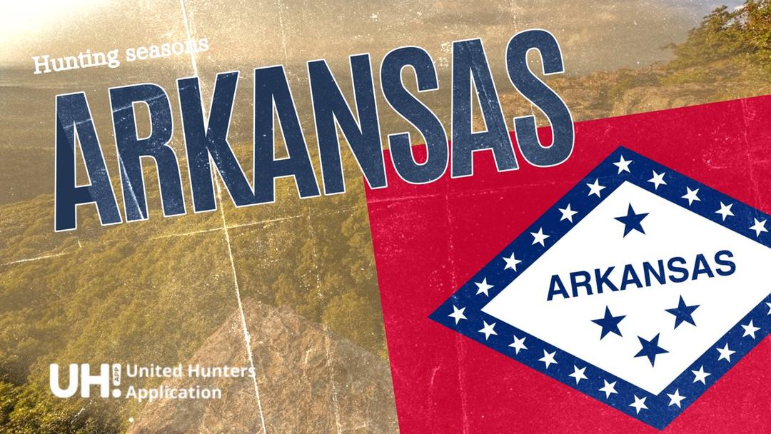 Hunting Seasons in Arkansas 2025: Big Game and Small Game, Licenses, and Regulations Guide