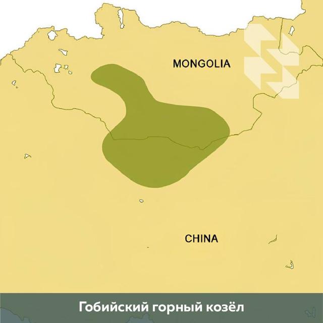 Photo from news post
