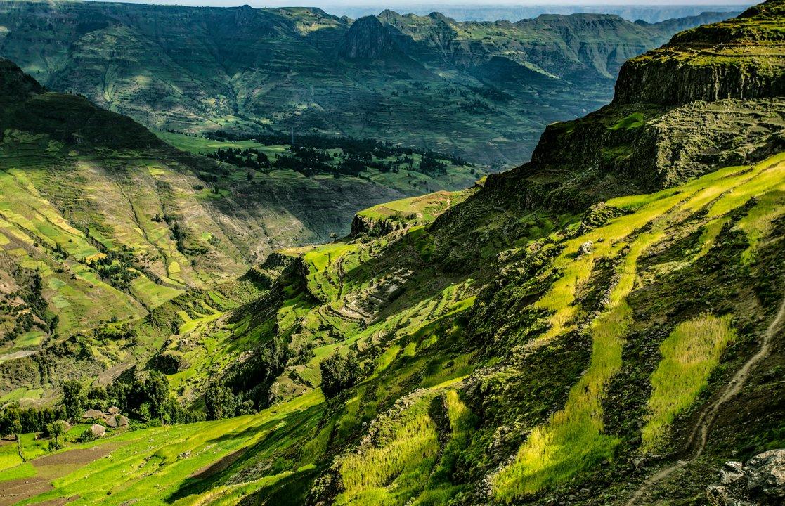 Sidama Region Hunting: Discover Exotic Wildlife, Perfect Hunting Seasons, and Captivating Unique Facts – Uncover the Secrets of Ethiopia’s Wild Side