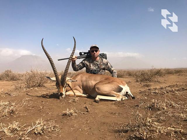 For true collectors 🌍 of African rarities: gerenuk, lesser kudu, Grant's gazelle, Thompson's gazelle, Patterson's eland and others ⤵️