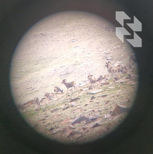 Photo from news post