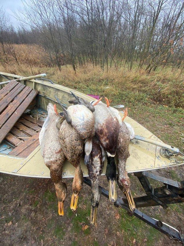 Photo from news post
