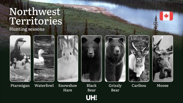 Hunting Seasons <strong>in</strong> NORTHWEST TERRITORIES (Canada): Key Dates, Vital Regulations & Licenses