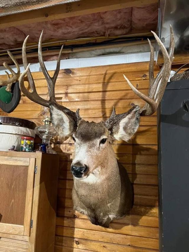 Photo from news post