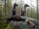 The Ultimate Guide to Jyväskylä Hunting: Geography, Seasons, Clubs, Legislation, Types, and Local Clubs

Nestled in the heart of Finland, Jyväskylä offers hunters a diver